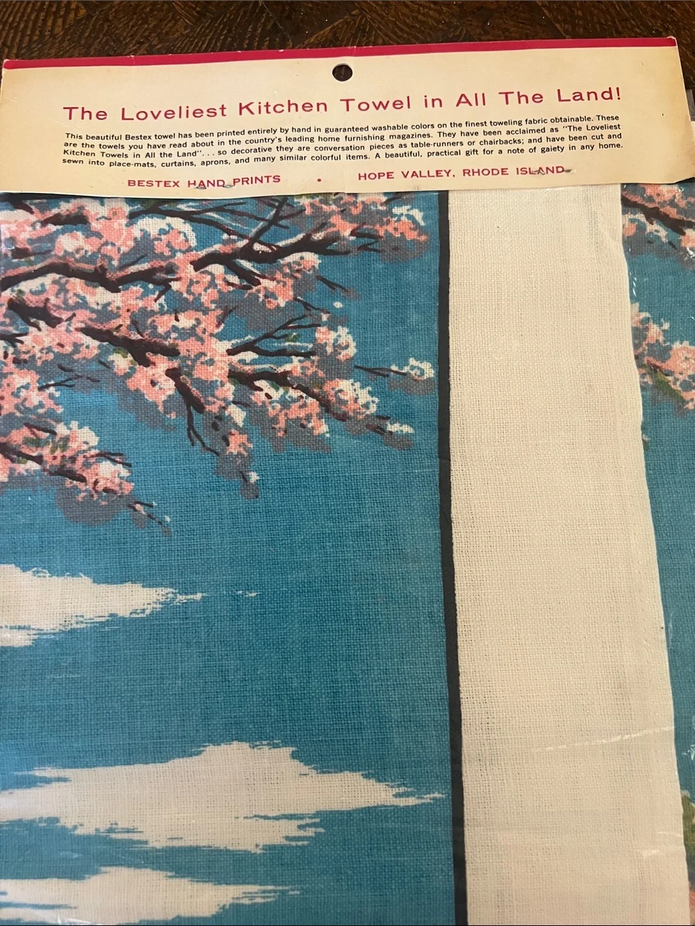 Amazing NIP 50’s Vintage-Style Washington Monument Kitchen Towel - Blue/Pink